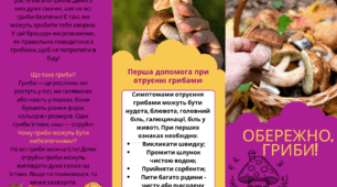 Буклет. ОБЕРЕЖНО ГРИБИ!