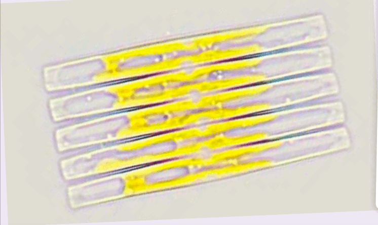 0602h8lu-ca4b-746x444.png