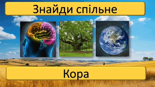 0602h98q-a8c2-525x295.png