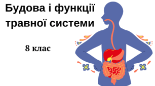 Будова і функції травної системи