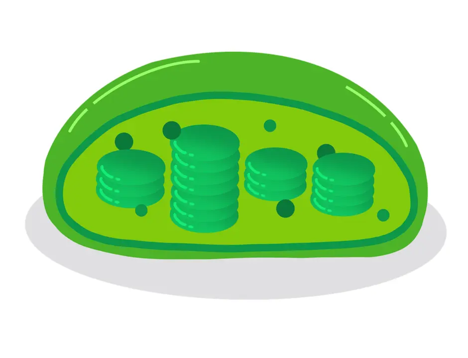 0602ha7r-f1b7-940x720.webp