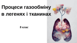 Процеси газообміну в легенях і тканинах 