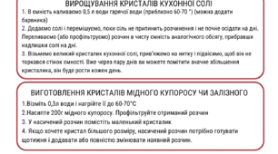 Роздруківка- інструкція (інфографіка) для вирощування кристалів для учнів 9 класу