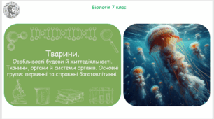 Урок на тему "Тварини. Особливості будови й життєдіяльності. Тканини, органи й системи органів. Основні групи: первинні та справжні багатоклітинні" (Конспект, презентація, робочі аркуші)