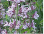 0602hha2-a821-143x109.png