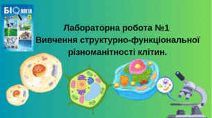 Лабораторна робота №1 Вивчення структурно-функціональної різноманітності клітин.