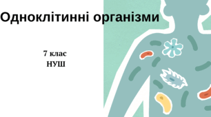 Одноклітинні організми (Гр2) - 7 клас НУШ 
