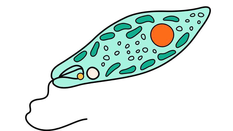0602hils-5ab8-940x529.png
