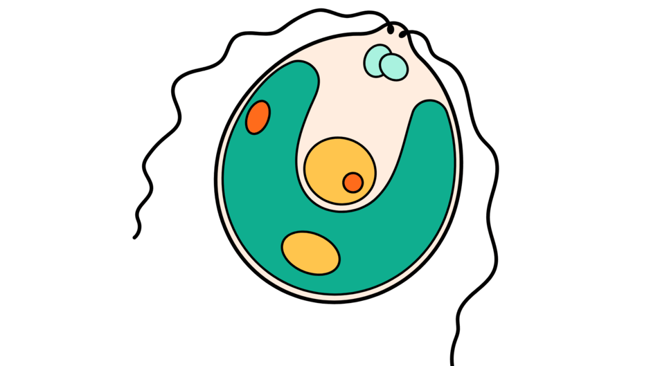 0602him4-3b8f-940x529.png