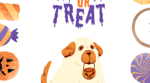 Розтяжка до свята "Halloween"