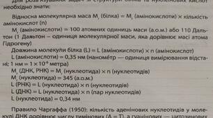 Практична робота 1 Розв'язування елементарних вправ зі структури білків та нуклеїнових кислот 