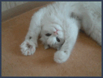 0602hlcu-5659-201x152.gif