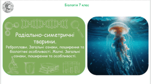 Урок на тему "Радіально-симетричні тварини. Реброплави. Загальні ознаки, поширення та біологічні особливості. Жалкі. Загальні ознаки, поширення та особливості" (Конспект, презентація, робочі аркуші)