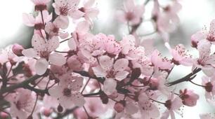 Easter in Britain. Listen and read