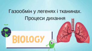 Дихальна система людини. Процеси дихання