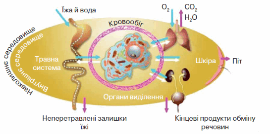 0602hw9u-78ac-545x272.png