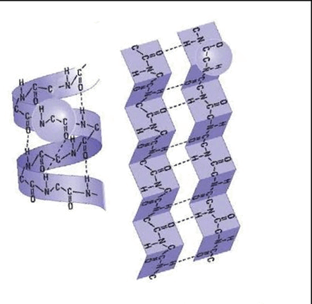 0602i2bi-9ea9-443x433.png
