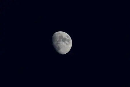 0602i2lf-f161-453x302.webp