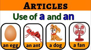 Article a / an