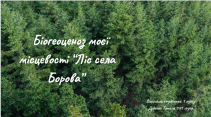 Біогеоценоз моєї місцевості