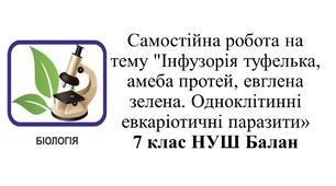 7 клас НУШ. Самостійна робота на тему "Інфузорія туфелька, амеба протей, евглена зелена. Одноклітинні евкаріотичні паразити»