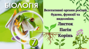 Вегетативні органи рослин. Корінь. Пагін. Листок. 7 клас НУШ