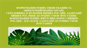 Презентація "Формування різних типів тканин та диференційованих органі. Середовища існування вищих рослин. Адаптації вищих рослини до різних умов зростання. Формування різних життєвих форм у вищих рослин – наслідок адаптації до різних умов зростання."