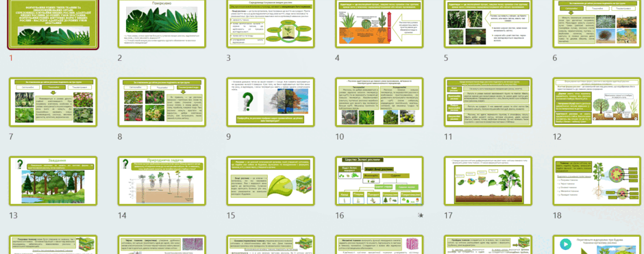 0602ifgp-2a56-940x371.png