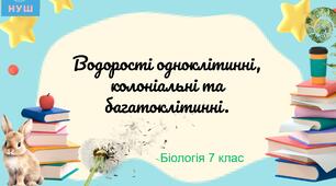 Презентація НУШ "Водорості одноклітинні, колоніальні, багатоклітинні"