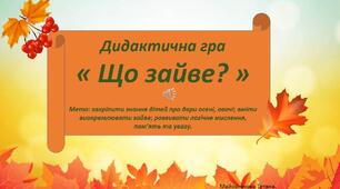 Дидактична гра " Що зайве?"