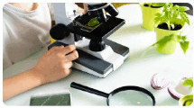 0602iocl-1baa-215x120.png