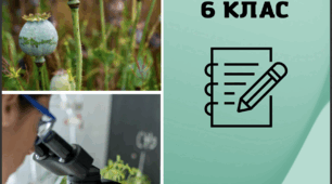Робочий зошит "Пізнаємо природу" 6 клас (за модельною програмою авт. Біда Д.Д., Гільберг Т.Г., Колісник Я.І.)