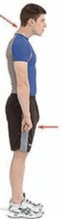 0602it4z-beef-62x219.png