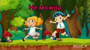 Безпечна поведінка в лісі