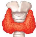 0602iv73-1344-127x129.jpg