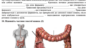Контрольна робота для 8 класу з біології на тему "Вступ. Обмін речовин. Травлення"