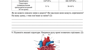 Контрольна робота для 8 класу з біології на тему "Дихальна система, кров, серцево-судинна система"