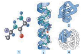 0602iyj9-6337-290x193.png