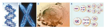 0602iz43-e324-343x93.png