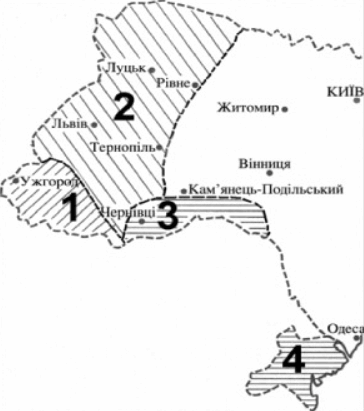 0602j0k8-a90f-364x411.png