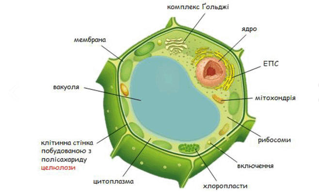0602j4xw-883c-658x397.png