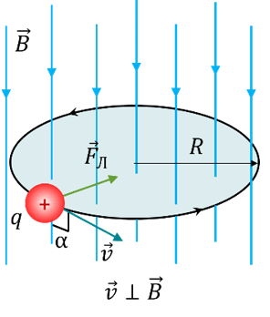 0602j5dg-e00c-296x348.png