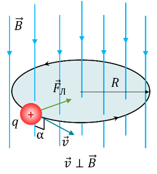 0602j5hn-adf9-310x345.png