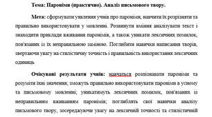 План-конспект "Пароніми (практично). Аналіз письмового твору."