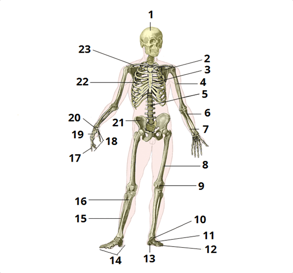 0602jf9s-b5d3-600x559.png