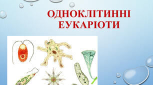 Одноклітинні евкаріоти- цілісні організми. Водорості » ( Г.Р. 3 Усвідомлює закономірності природи) І варіант