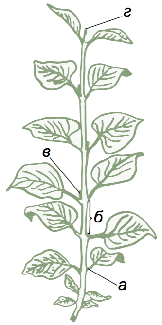 0602jh47-6f7a-333x669.png