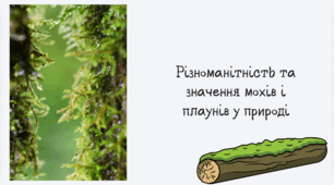 Різноманітність та значення мохів і плаунів у природі.