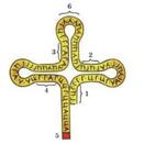 0602jjv0-61c3-131x131.jpg