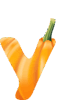 0602jkv6-9fc0-59x100.png